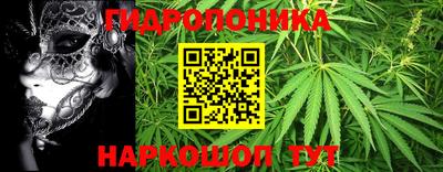 МДПВ Кингисепп