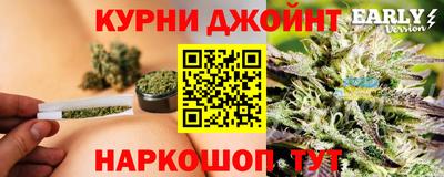 МДПВ Кингисепп