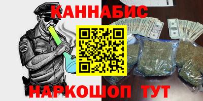МДПВ Кингисепп