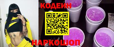 МДПВ Кингисепп