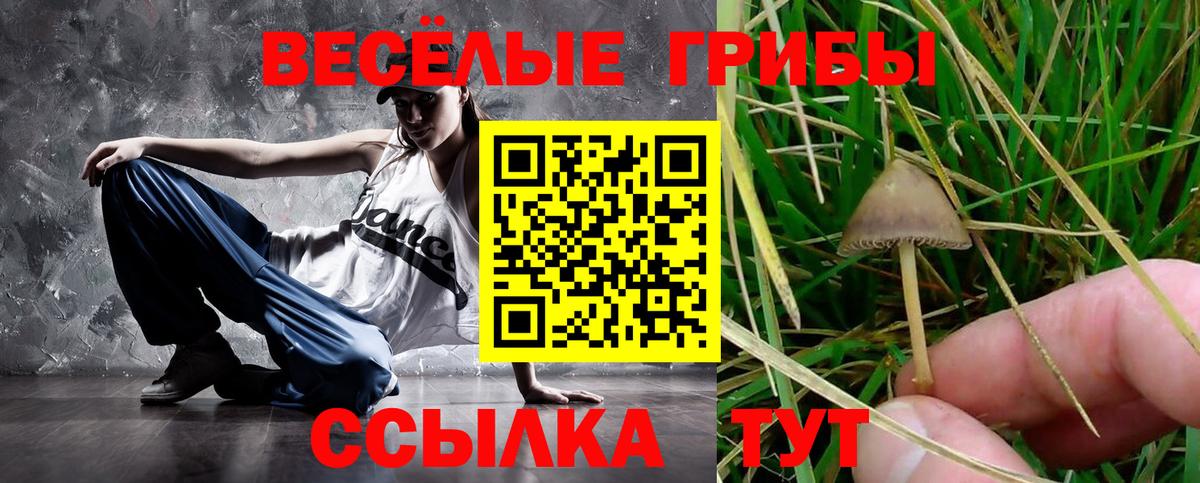 Галлюциногенные грибы MAGIC MUSHROOMS Коряжма