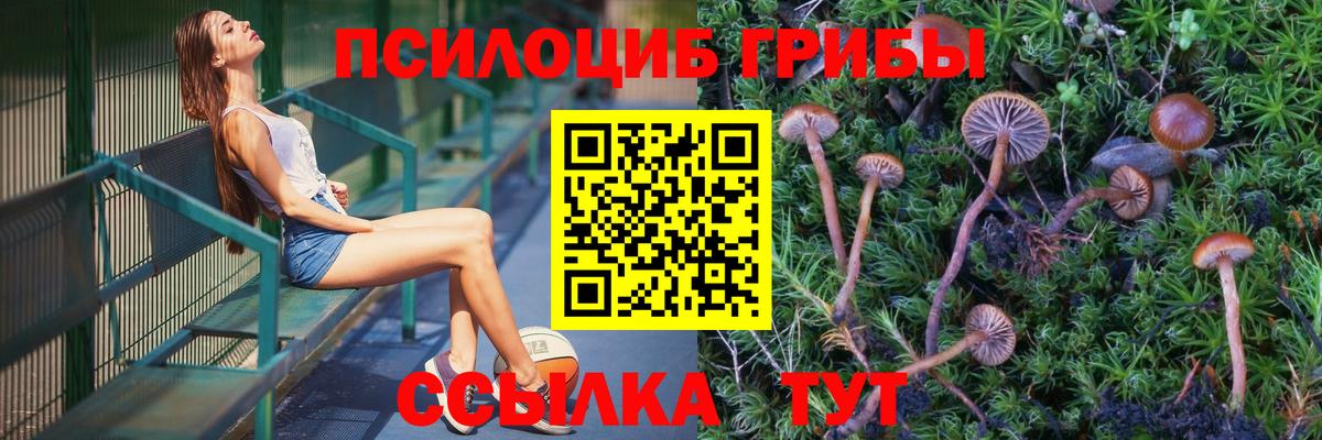 Коряжма  Галлюциногенные грибы GOLDEN TEACHER  Вход с VPN 
